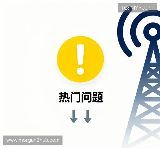 问题解答桥